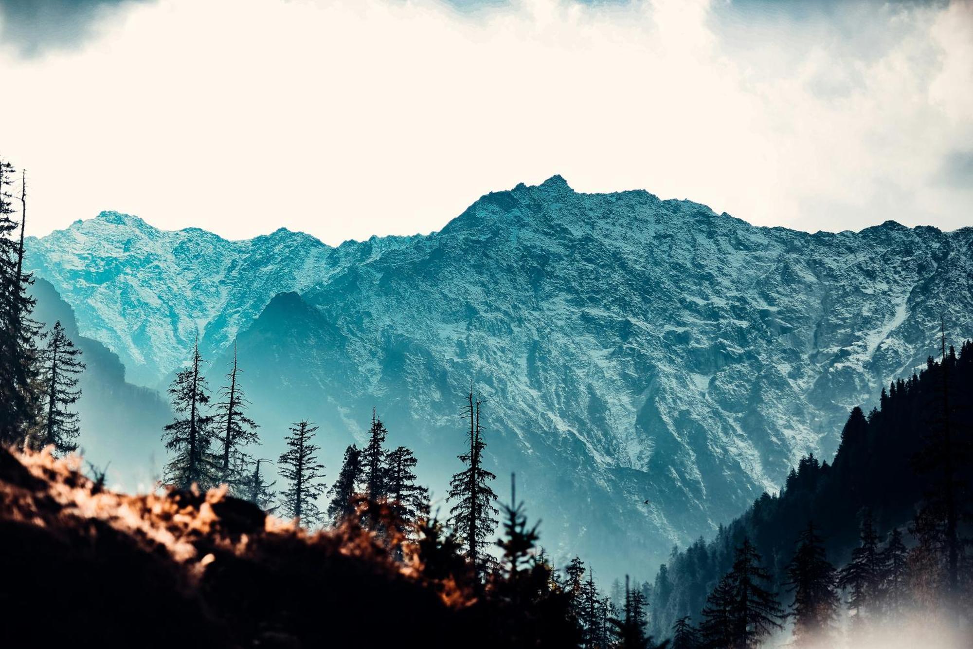 Hotel 17 Miles Stone, Manali By Shivaneel Hospitality - Manali (Himachal Pradesh) — Photos 2